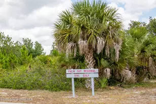 1226 Hedgecoth St NW, Palm Bay, FL 32907 - Photo 46