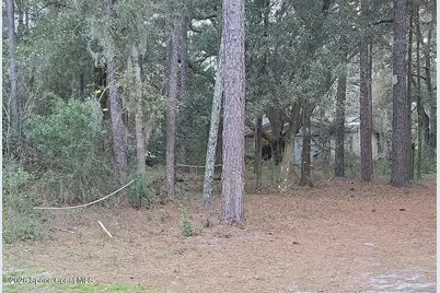 20 Never Bend Drive, Ocala, FL 34482 - Photo 4
