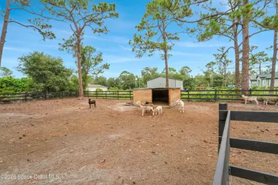 8025 SE Babcock Street SE, Grant-Valkaria, FL 32909 - Photo 42