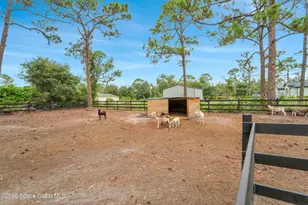 8025 SE Babcock Street SE, Grant-Valkaria, FL 32909 - Photo 42