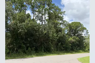1102 Ivanhoe Street NW, Palm Bay, FL 32907 - Photo 4