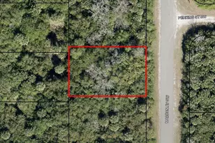 1636 SW Madden Ave SW, Palm Bay, FL 32908 - Photo 1