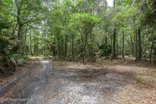 1851 Maytown Rd, Oak Hill, FL 32759 - Photo 40