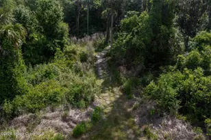 1851 Maytown Rd, Oak Hill, FL 32759 - Photo 34