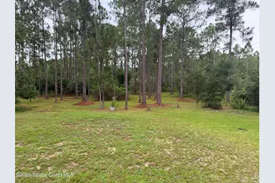 1161 Lake Harney Woods Boulevard, Mims, FL 32754 - Photo 26