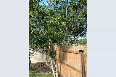 1835 Longleaf Road, Cocoa, FL 32926 - Photo 40