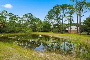 1534 Willard Rd NW, Palm Bay, FL 32907 - Photo 28