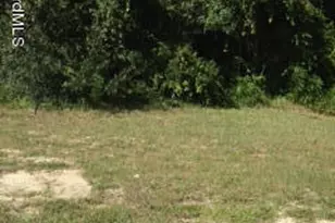 5525 Wendy Lee Dr, Titusville, FL 32780 - Photo 10