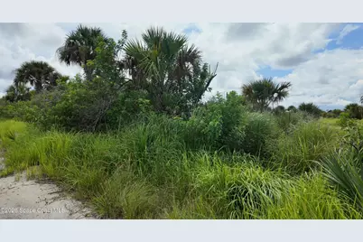 3362 Slimtwig Avenue SW, Palm Bay, FL 32908 - Photo 8