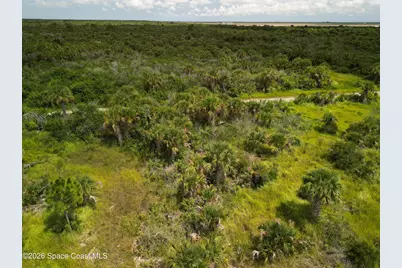 3362 Slimtwig Avenue SW, Palm Bay, FL 32908 - Photo 4