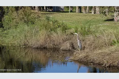 446 Plantation Drive, Titusville, FL 32780 - Photo 54