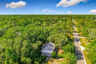 1338 St Nicholas Ave, Christmas, FL 32709 - Photo 38