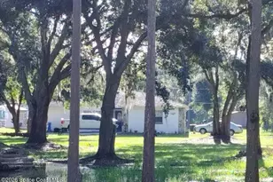 6830 N Dormany Rd, Plant City, FL 33566 - Photo 1