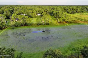 3934 Burkholm Rd, Mims, FL 32754 - Photo 90