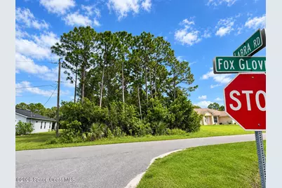 2801 Foxglove Avenue SW, Palm Bay, FL 32908 - Photo 1