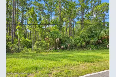 0000 Fox Lake Road, Titusville, FL 32780 - Photo 1