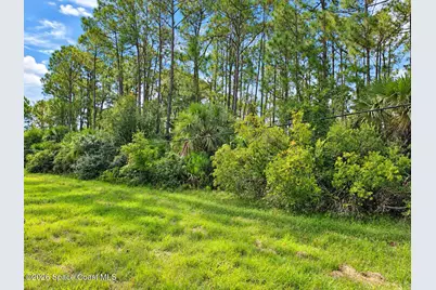 0000 Fox Lake Road, Titusville, FL 32780 - Photo 2