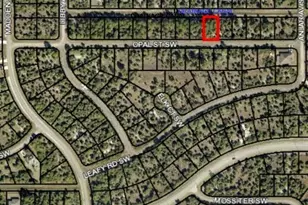 671 Opal Street SW, Palm Bay, FL 32908 - Photo 1