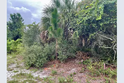 840 Andrew Street SE, Palm Bay, FL 32909 - Photo 2