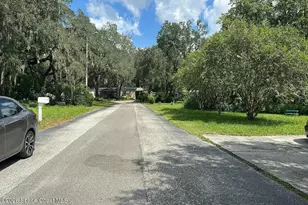 9117 Wood Terrace Dr, Tampa, FL 33637 - Photo 4