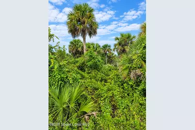 0000 Highway 1, Mims, FL 32754 - Photo 2