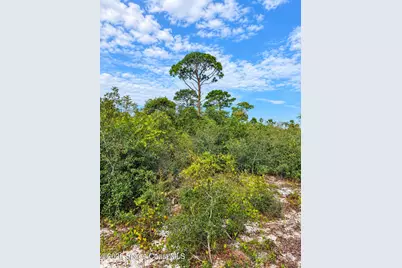 0000 Highway 1, Mims, FL 32754 - Photo 8