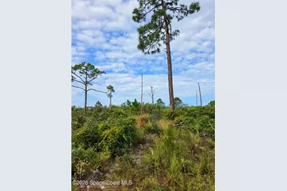 0000 Highway 1, Mims, FL 32754 - Photo 2