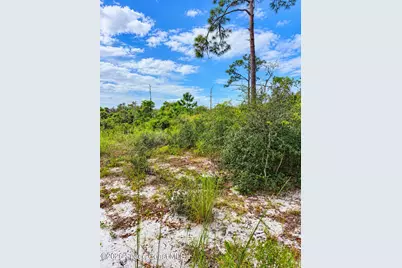 0000 Highway 1, Mims, FL 32754 - Photo 6