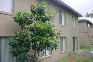 4274 Mt Vernon Ave, Titusville, FL 32780 - Photo 2