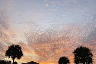 3201 Sea Shore Way N, Melbourne Beach, FL 32951 - Photo 26