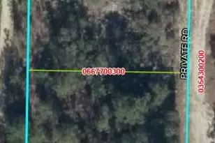 0000 NE 67th St, Bronson, FL 32621 - Photo 1