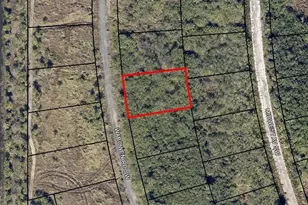 2131 Wabowen Road SW, Palm Bay, FL 32908 - Photo 1