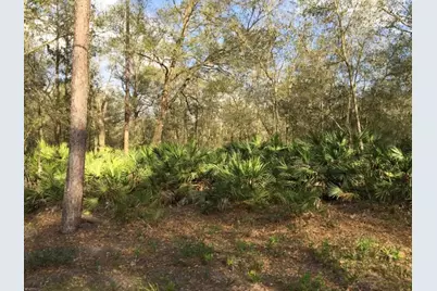 0 Unassigned Lot 1, Interlachen, FL 32148 - Photo 1