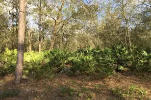 0 Unassigned Lot 1, Interlachen, FL 32148 - Photo 1