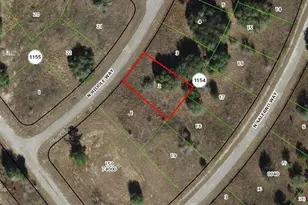 8123 N Riddle Way, Citrus Springs, FL 34434 - Photo 1