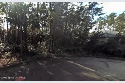 20 Lleberry Path, Palm Coast, FL 32164 - Photo 1