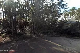 20 Lleberry Path, Palm Coast, FL 32164 - Photo 1