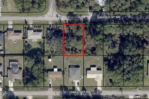 1282 Gingold St NW, Palm Bay, FL 32907 - Photo 1