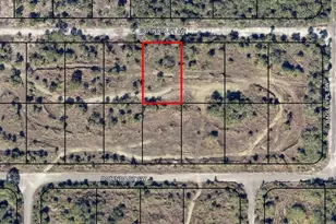 1020 Echinata St SW, Palm Bay, FL 32908 - Photo 1