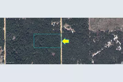 5499 Indian Trail, Keystone Heights, FL 32656 - Photo 1