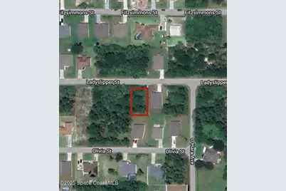 532 Ladyslipper Street, Palm Bay, FL 32908 - Photo 1