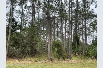 125 Santa Rosa Avenue SW, Palm Bay, FL 32908 - Photo 1