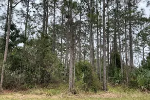 125 Santa Rosa Ave SW, Palm Bay, FL 32908 - Photo 1