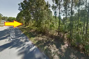 2684 Palmer Ave SE, Palm Bay, FL 32909 - Photo 1