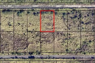 1056 Saratoga St SW, Palm Bay, FL 32908 - Photo 1