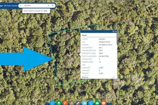 0000 N Street Access, Oak Hill, FL 32759 - Photo 1