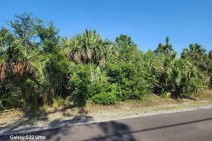 3258 Lakeland Ave SW, Palm Bay, FL 32908 - Photo 1