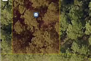 313 Oconto St SW, Palm Bay, FL 32909 - Photo 1