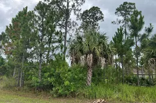 1690 Weiman Rd SE, Palm Bay, FL 32909 - Photo 1