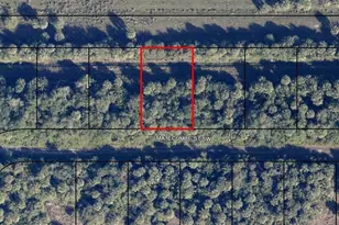 871 Matecumbe Street SW, Palm Bay, FL 32908 - Photo 1